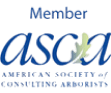 member asca